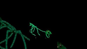 Шоу световых кукол. Динозавр.