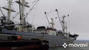 тр.,, Бухта  Русская ".2021г.