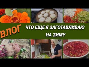 Влог /Что еще я заготавливаю на зиму@SubTatiana