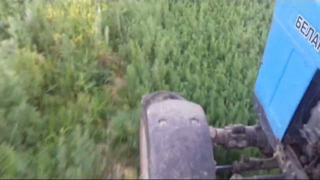 Мтз 82.1 Первый укос 2019. смотреть онлайн