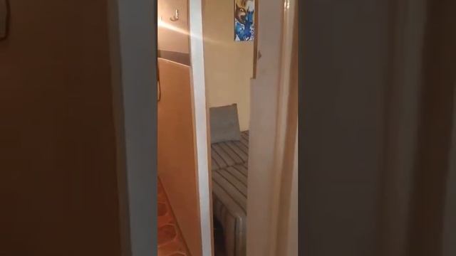 Аренда 1к, Киев, Дарницкий р-н, Пасхалина ул., 12 - 7900 грн. смотреть онлайн