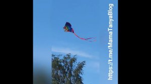 Запуск воздушного змея