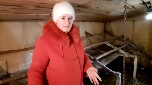 Обработай гнезда кур - увеличь яйценоскость. Как часто обрабатывать и чистить гнезда у кур.