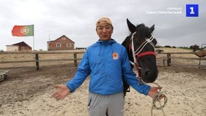 В Калмыкии разводят мощных верблюдов породы Бактриан
