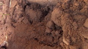 Делаю ревизию подпола у деревенского дома, проверяю как пережила зиму мягкая отмостка для фундамент