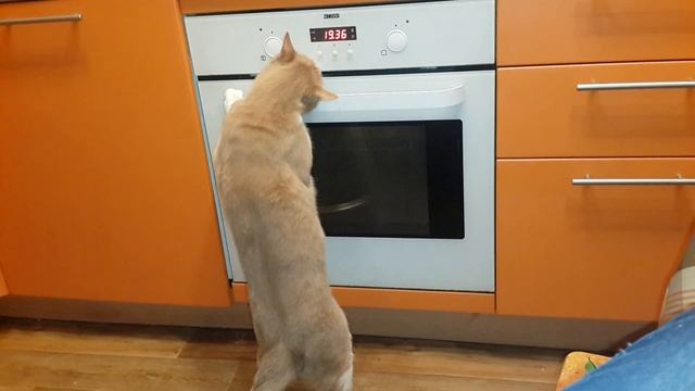 как правильно открывать духовку смотреть онлайн