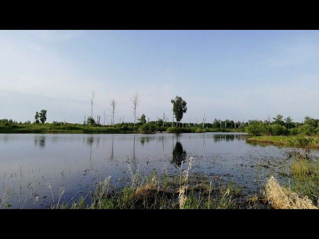 Рыбалка за пару дней... Не много, но и не пусто, окуни и язь :-) #NIK_72 смотреть онлайн