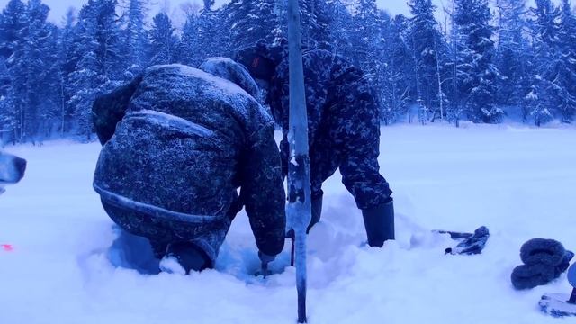 Эти щуки не лезут в лунку, трофейная рыбалка . смотреть онлайн