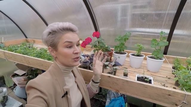 ПОЛУЧИЛА ПОСЫЛКИ С ЧЕРЕНКАМИ?.СОВЕТУЮ И БЛАГОДАРЮ?!!!2020 смотреть онлайн