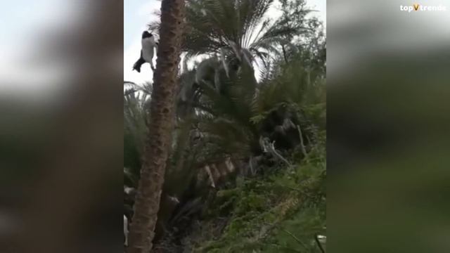 Такое Редко Увидишь! Эти Видео Повезло Снять на Камеру смотреть онлайн