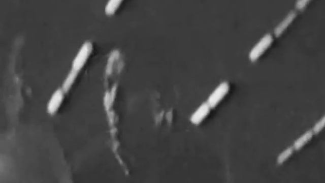 Мазандаранский тигр смотреть онлайн