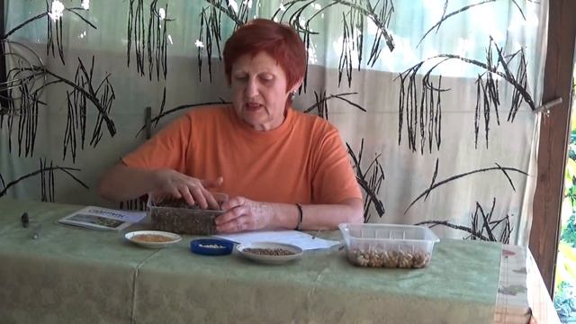 СИДЕРАТЫ сентября - какие и куда сеять