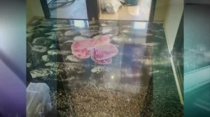 3D полы Видео фото технология