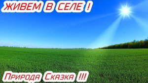 Живем в большом селе,природа сказка,купили дом в селе.