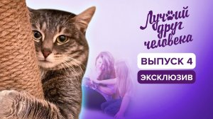 Кот "Хатико" | Лучший друг человека, эксклюзив из 4 выпуска