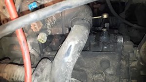 Замена термостата Пежо 406 LFY Thermostat replacement Peugeot 406