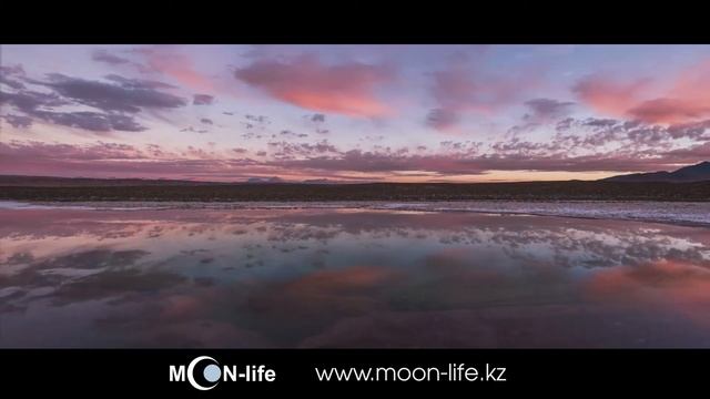 23 Лунный день сегодня еда: агрессия благодаря присутствию мяса в рационе, или от его отсутствия? смотреть онлайн