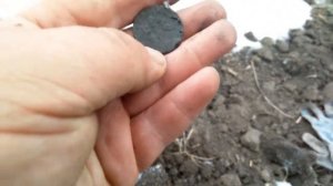 И тут показалась сногсшибательная находка.