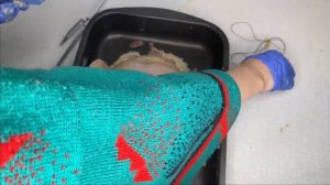 Видео-обзор Электрическая Печь BBK  OE5562MC + маринад для курицы гриль и выпекание пирожков