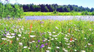 ВИДЕО релаксация