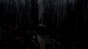 Нива на 33 Сильверах  + Бонус - засадили БРДМ!!!