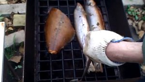 Коптим рыбку в шарабане...