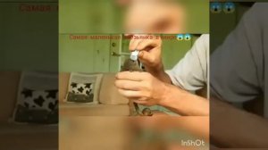 Шикарный вид, самая маленькая обезьянка в мире