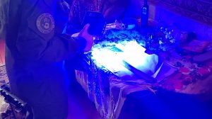 Приговор Марине Шалаевой