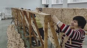 Всё для фронта ??