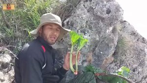 як рузи мо дар кух чизе дидем ина шумодам нишон додем дусти шумо Дустмурод