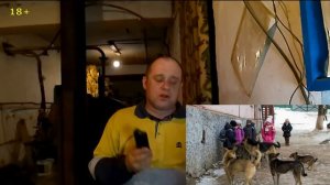 как защитится от собак и это действительно работает