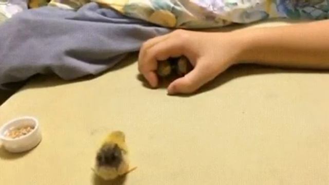 Каждого можно принять, маленького и бедного. Богатого и взрослого(хотя нэ) смотреть онлайн