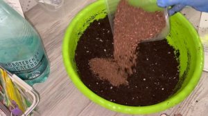 Посев ПЕРЦЕВ новым способом! КЛАССНАЯ ПРИСЫПКА!