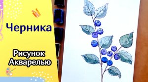 Как нарисовать ЧЕРНИКУ | Очень расслабляющее видео | Акварельный скетчинг