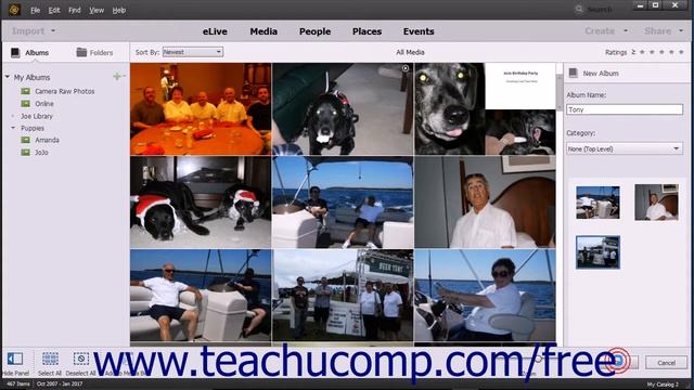 Photoshop Elements 15 Tutorial Creating and Using Albums Adobe Training смотреть онлайн