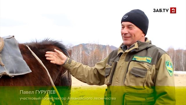 Неголливудские звезды охраняют нацпарк "Алханай" смотреть онлайн