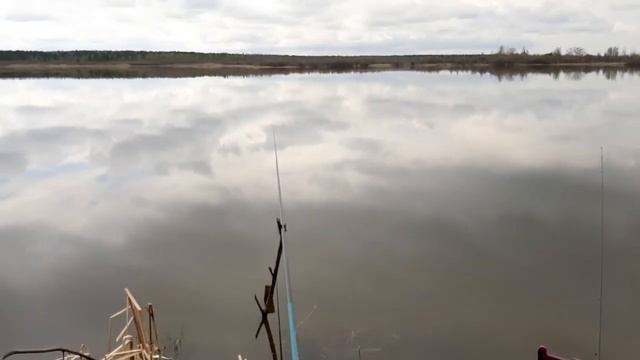 Моментально на глисс! Первый выезд на MISHIMO PRO 370 за МУТАНТАМИ карасём! смотреть онлайн