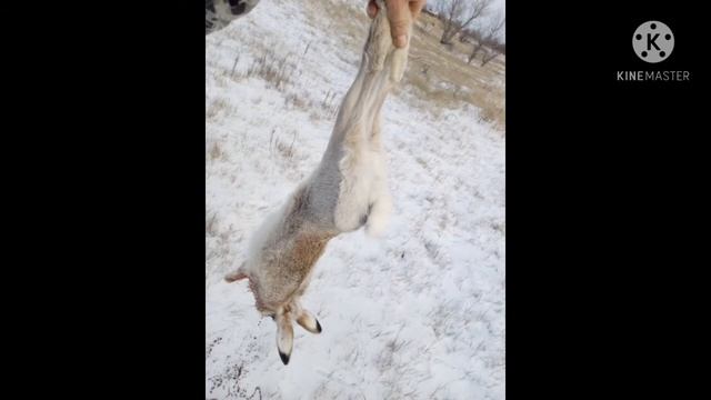 Охот сезон 2020-2021 фото смотреть онлайн