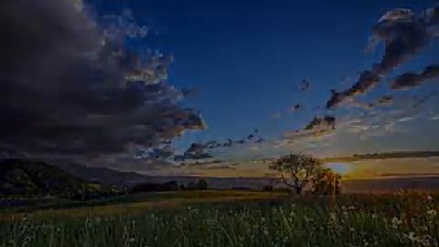 Мысль и слово смотреть онлайн