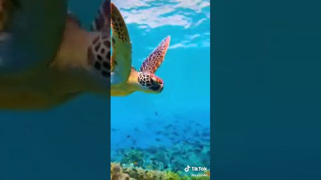 ЖЕЛАЮ СЧАСТЬЯ РОДНЫМ И ДРУЗЬЯМ! 🎤🎵🎶ЧТОБЫ   РАДОСТЬ 🎵🎤🎶 ЖИЛА В ВАШЕМ ДОМЕ ВСЕГДА!!!!!!