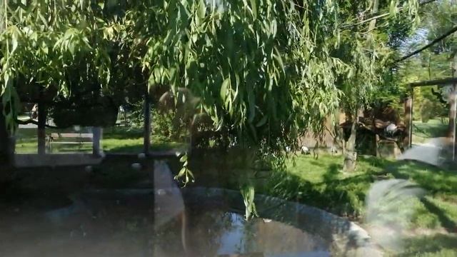 zoopark katowice 4 смотреть онлайн