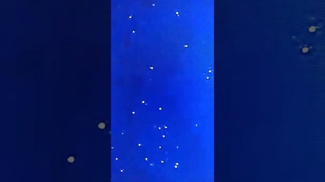 Huge space chunks pt7 05/31/22 смотреть онлайн