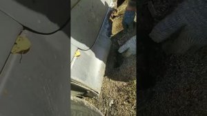 Замена порогов +переварка пола+переварили и усилили поддомкратники на Пежо 206.