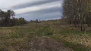 Неподалёку от Скалы (Колыванского района)