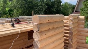 Строительство бани из оцилиндрованного бревна!