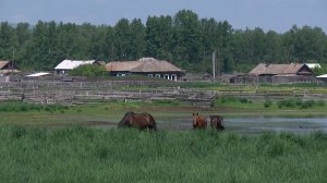 Малых сёл в Хакасии стало больше - республиканские дотации получат жители ещё двух аалов