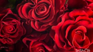 Аль ФАТИХА, Аль ИХЛАС, Аль ФАЛАК, Ан НАС, Аят Аль КУРСИ и дуа