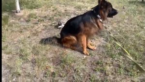 Клинический случай