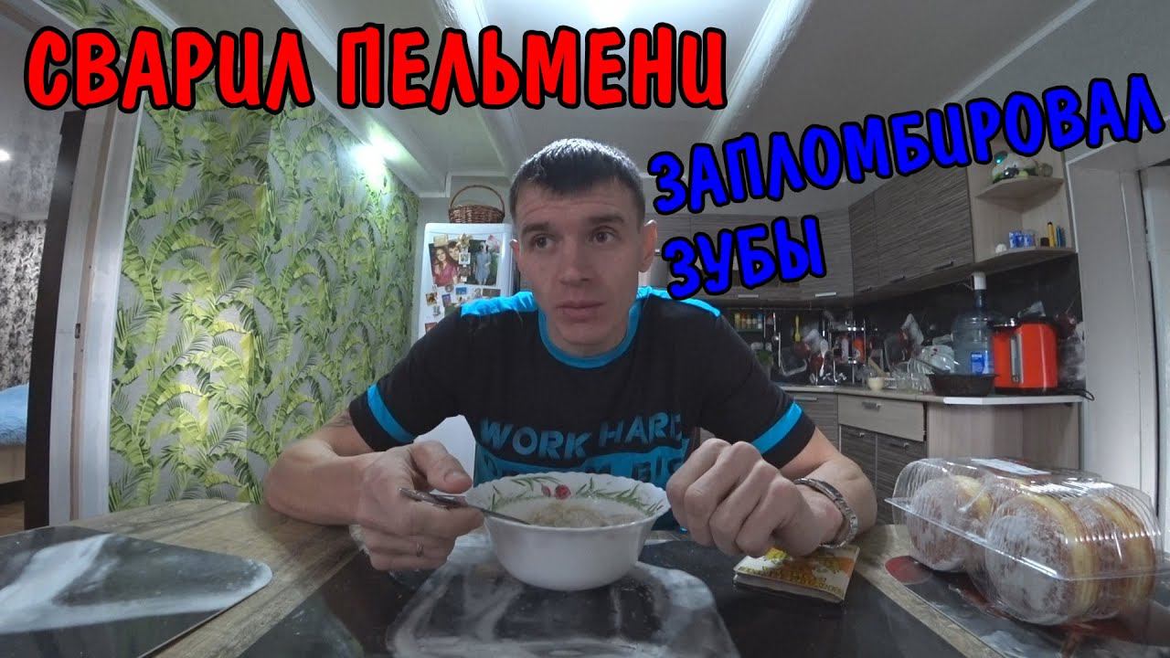 ДЕЛАЮ ДОМИК ДЛЯ СОБАК И КОШЕК / СВАРИЛ ПЕЛЬМЕНИ / ЗАПЛОМБИРОВАЛ ЗУБЫ / МУКБАНГ / РЕМОНТ БАЛКОНА