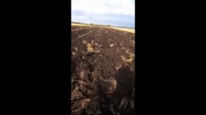 Плуг ПС-5-50 - реальный отзыв фермера